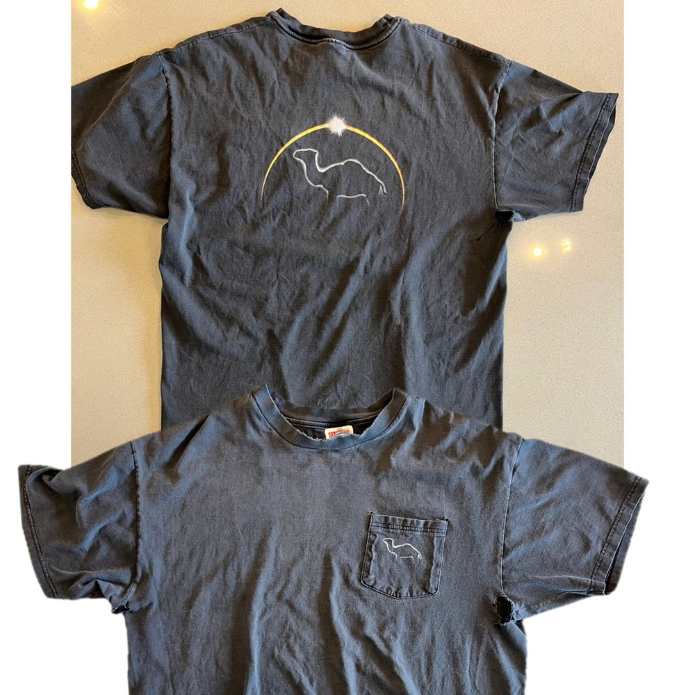 Vintage Thrashed Y2K Hanes XL Camel Graphic Tee – Desert Sun Logo Pocket Shirt